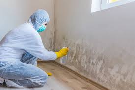 Best Attic Mold Removal  in Atlantic City, NJ